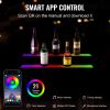 VEVOR LED Lighted Liquor Bottle Display, 2 Tiers 30 Inches, Illuminated Home Bar Shelf with RF Remote & App Control 7 Static Colors 1-4 H Timing