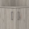 Syrah Corner Bar Cabinet, Eight Bottle Cubbies, Double Door, Two Open Shelves Light Gray